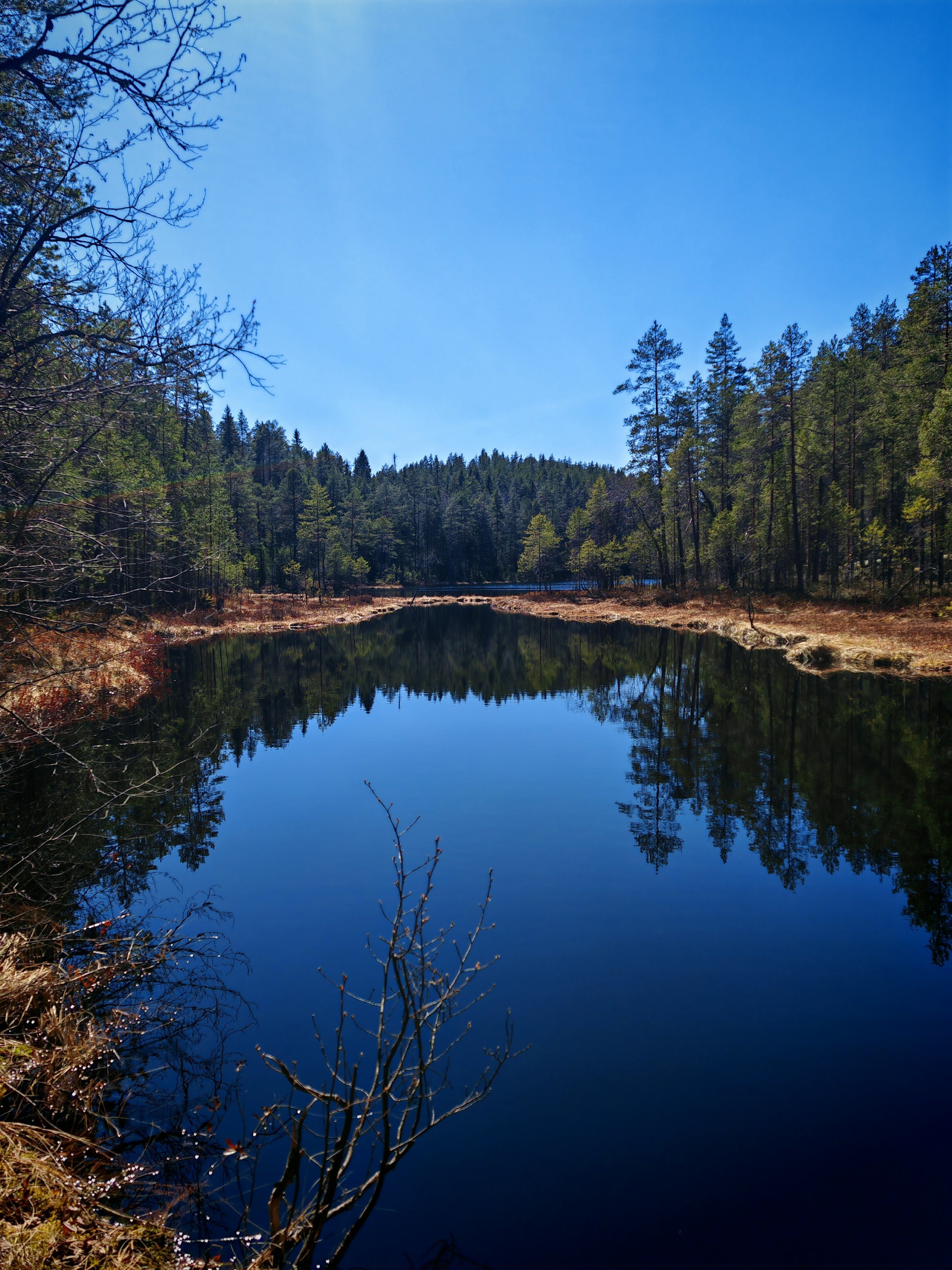 Kivikuru (Jappilan kivikuru ja Hiidenkivi)